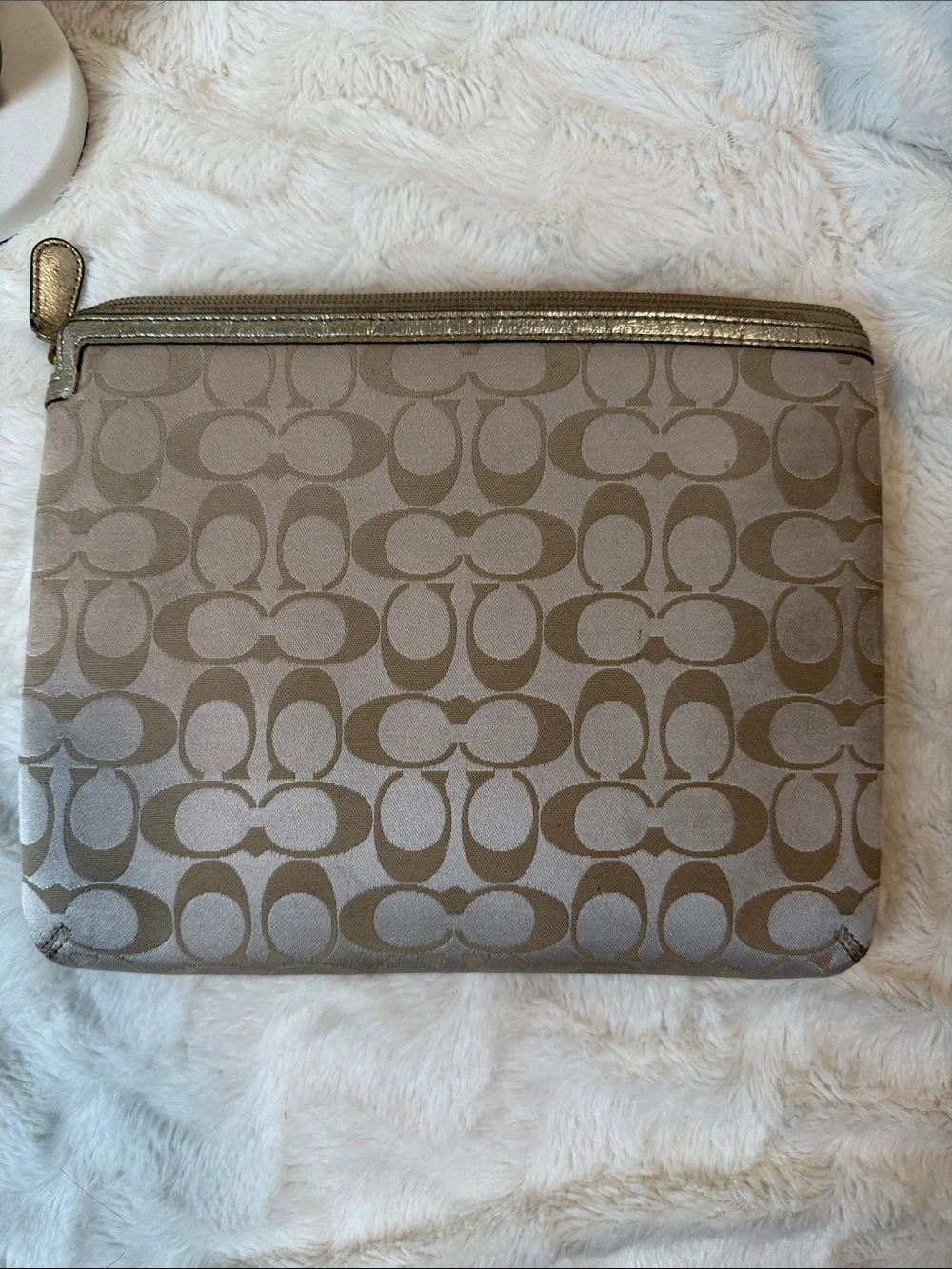 Y2K Coach daisy poppy ipad tablet sleeve